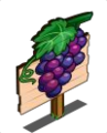  Mastery Grapes